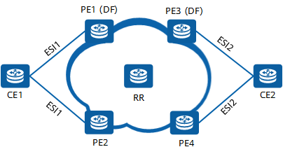 EVPN network topology