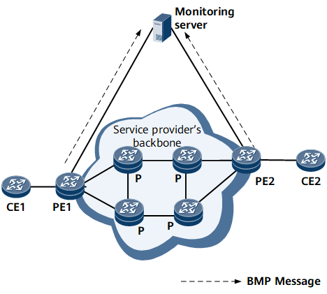 BMP典型组网