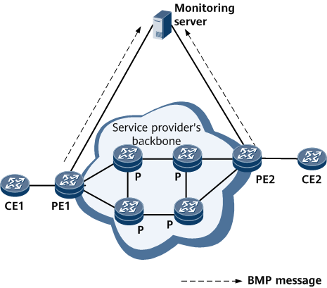 Typical BMP networking