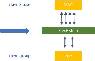 General architecture of FlexE