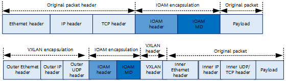 Formats of IOAM-encapsulated TCP and VXLAN packets