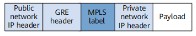 Format of a GRE packet containing an MPLS label
