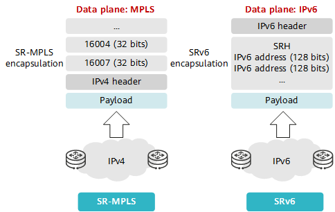 Two data planes of SR