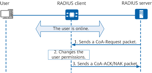 CoA packet exchange process