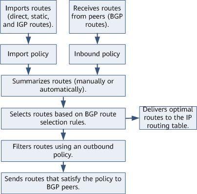 BGP route processing