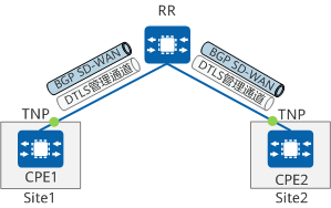 BGP SD-WAN控制通道建立示意图